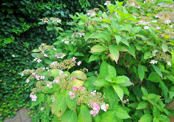 Large 3 bedroom, 2 bath with En suite master, fully stocked kitchen with a bar, full living room, full dining room, great private patio with hot tub, air conditioning and heating, WiFi, iHome, Comcast TV/DVD.